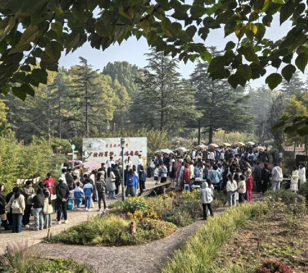 青岛农业大学举办“秋韵芳华，意满庭花”秋日游园会