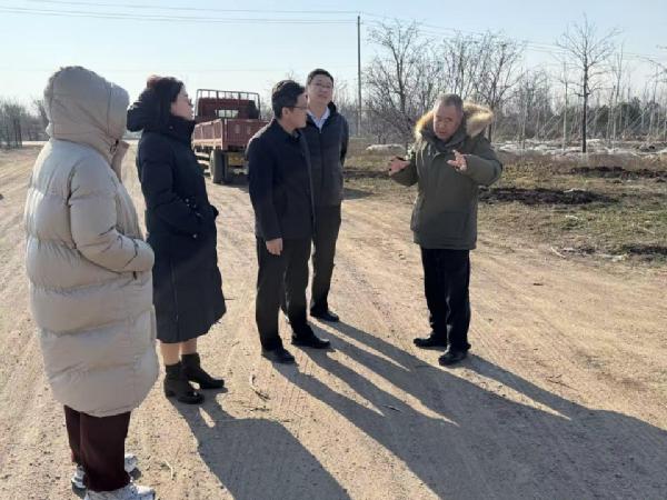 园林与林学院赴青岛市苗木协会开展访企拓岗专项活动 ​