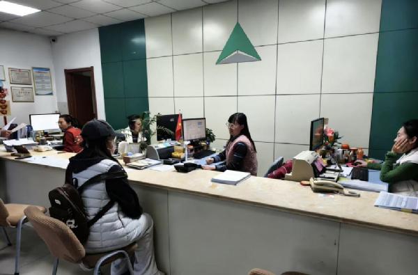 园林与林学院“淄水企歌&middot;岱宗践章”赴山东泰安、淄博实践服务团：淄岱访企探产业，园林青年悟匠心